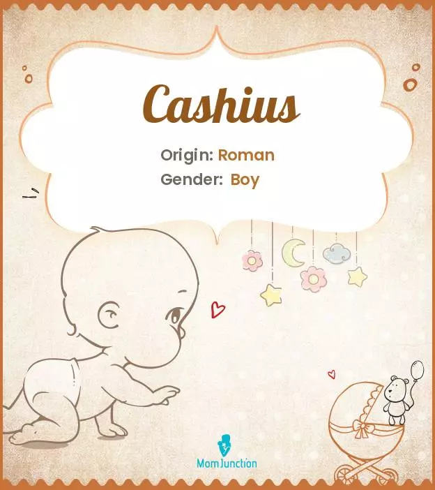 Cashius: Meaning, Origin, Popularity | MomJunction