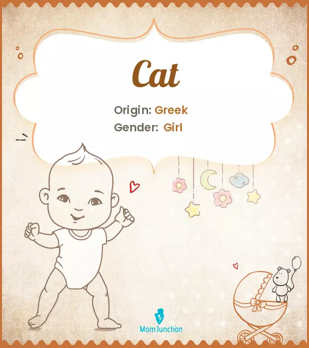 Cat: Meaning, Origin, Popularity | MomJunction