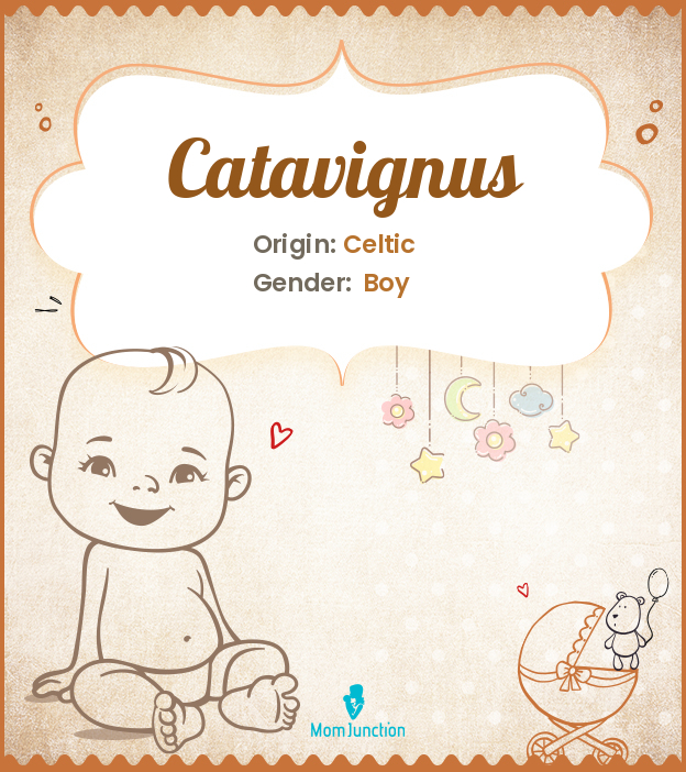 catavignus