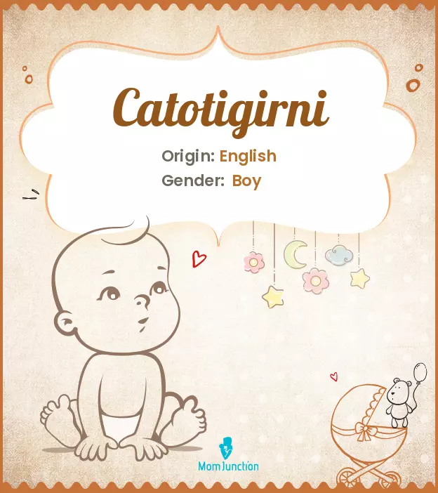 catotigirni_image