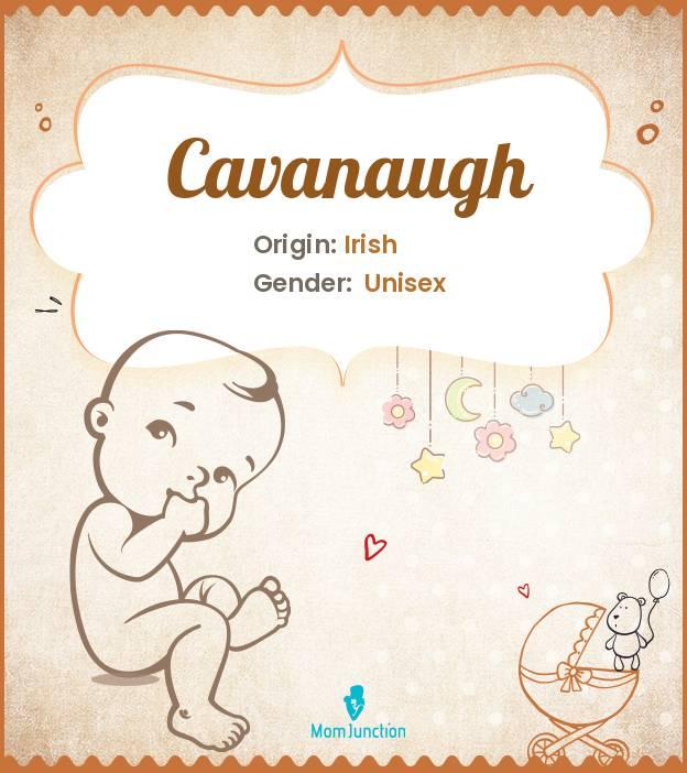 Cavanaugh: Meaning, Origin, Popularity_image