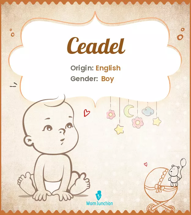 ceadel_image