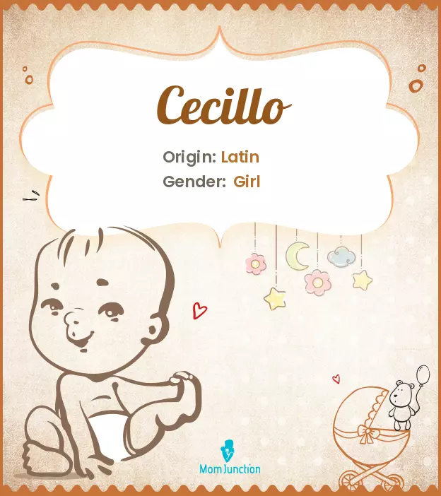 cecillo_image