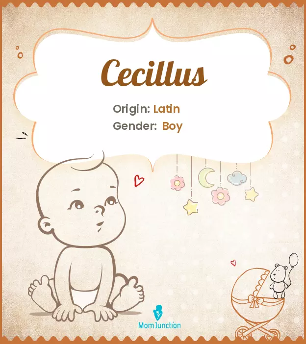 cecillus_image