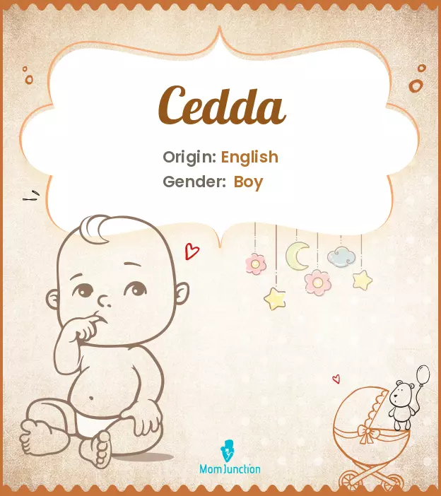 cedda_image