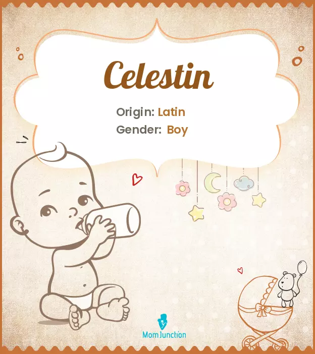 Celestin: Meaning, Origin, Popularity | MomJunction