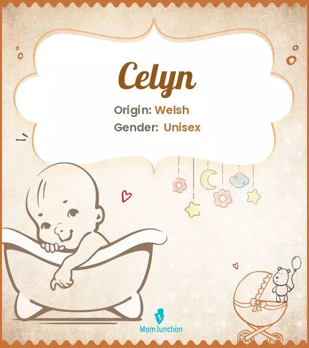 Celyn: Meaning, Origin, Popularity | MomJunction