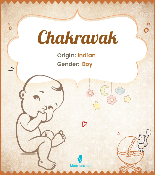 Chakravak