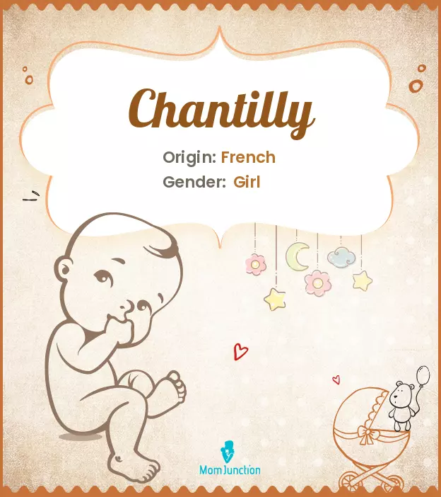 Chantilly: Meaning, Origin, Popularity | MomJunction