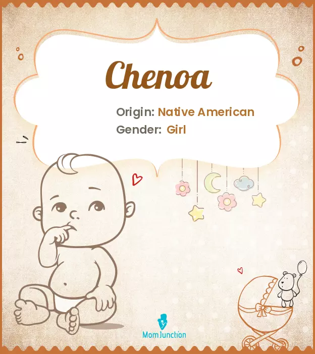 Chenoa Name Meaning, Origin, History, And Popularity_image