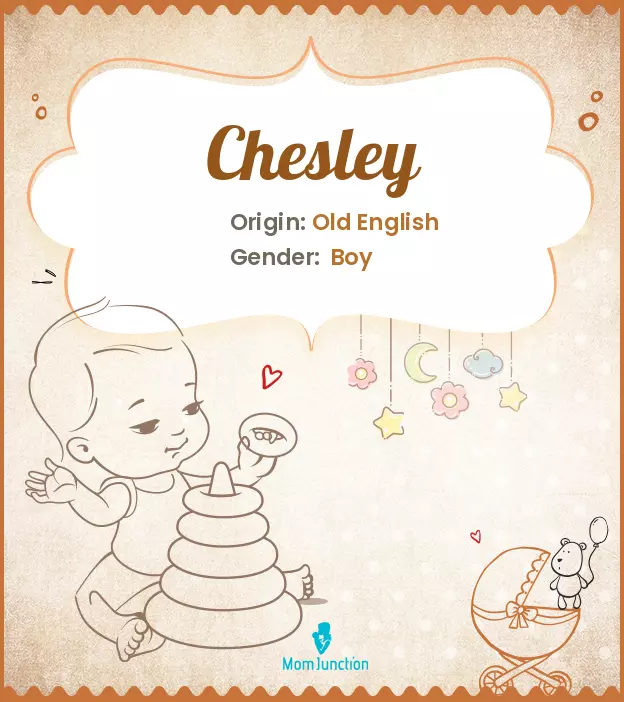 Chesley: Meaning, Origin, Popularity | MomJunction