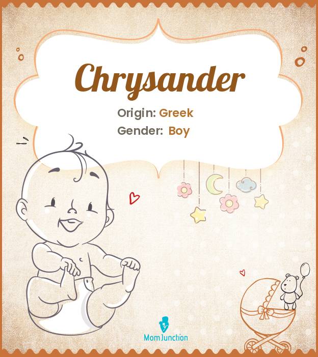 Chrysander: Meaning, Origin, Popularity_image