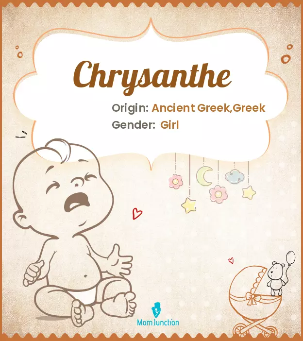 Chrysanthe: Meaning, Origin, Popularity | MomJunction