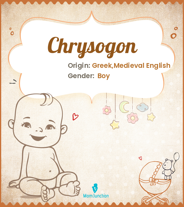 chrysogon