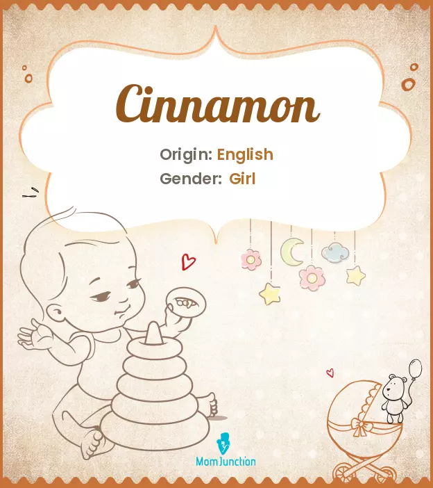 Cinnamon: Meaning, Origin, Popularity_image