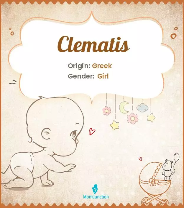 Clementina, meaning gentle and soft