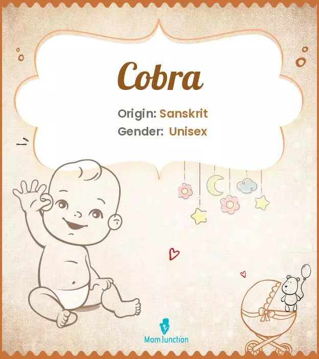 Cobra: Meaning, Origin, Popularity | MomJunction