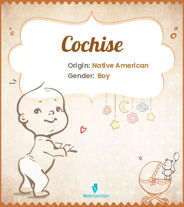 Cochise: Meaning, Origin, Popularity_image