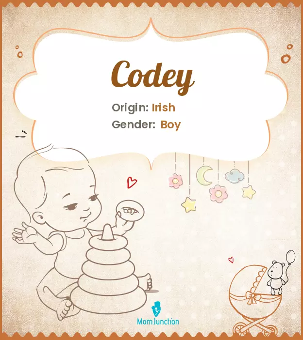 Codey: Meaning, Origin, Popularity | MomJunction