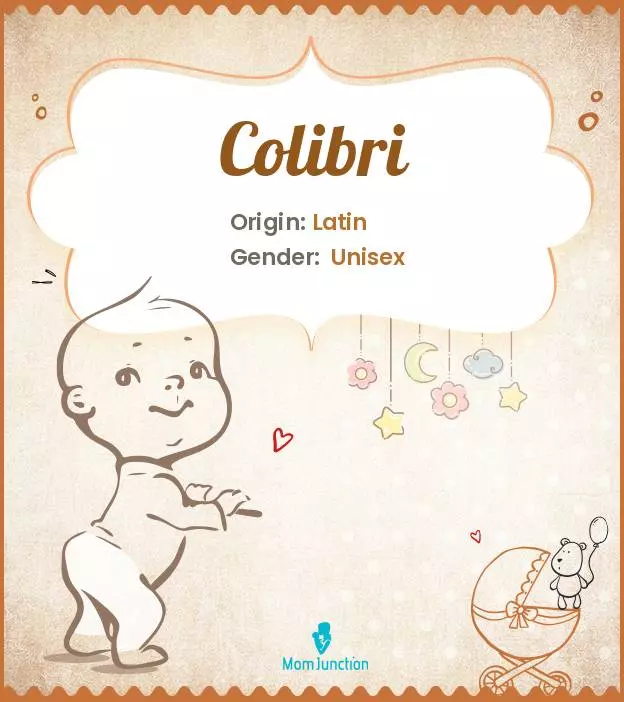 Baby Name Colibri Meaning, Origin, And Popularity