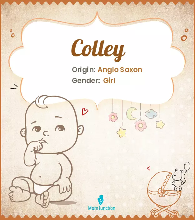 Colley: Meaning, Origin, Popularity | MomJunction