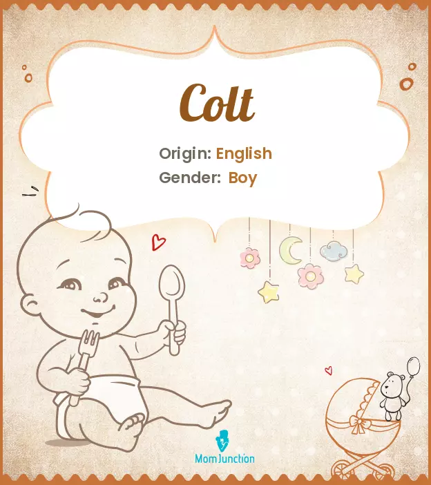 Colt: Meaning, Origin, Popularity | MomJunction