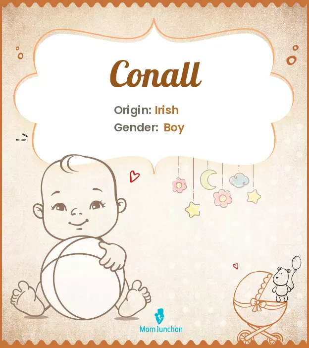 Conall: Meaning, Origin, Popularity | MomJunction