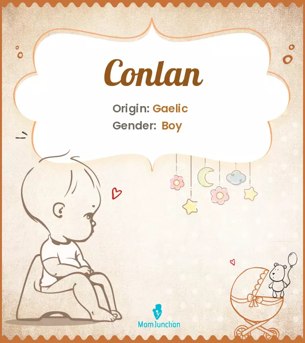 Conlan: Meaning, Origin, Popularity_image