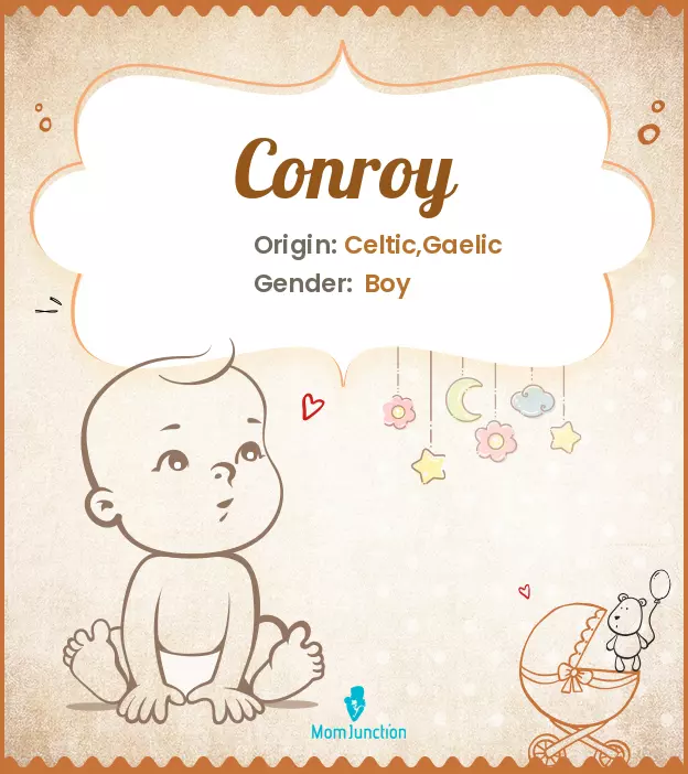 Conroy: Meaning, Origin, Popularity_image