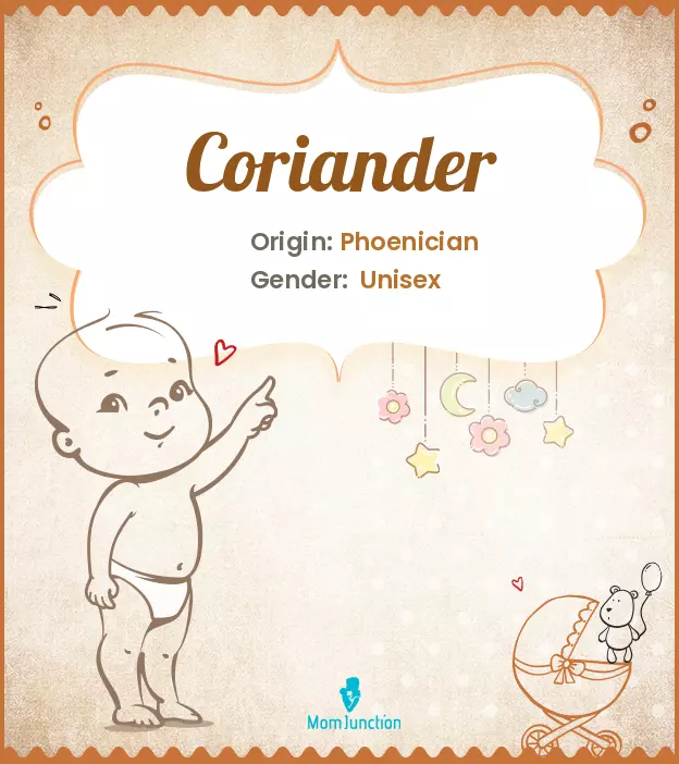 Coriander: Meaning, Origin, Popularity | MomJunction