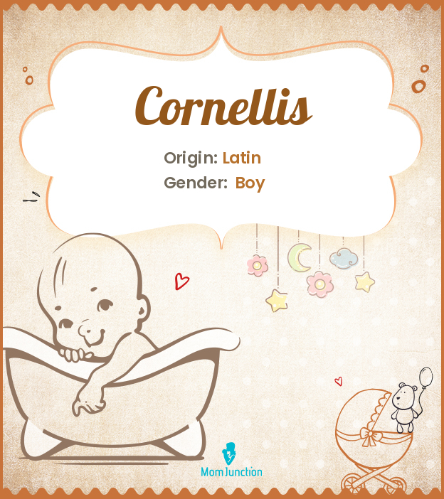 cornellis