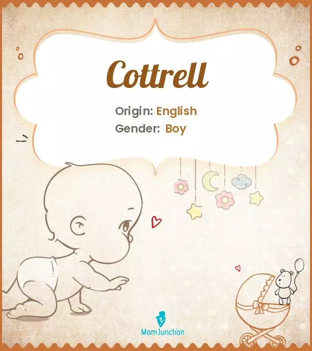 Cottrell: Meaning, Origin, Popularity_image