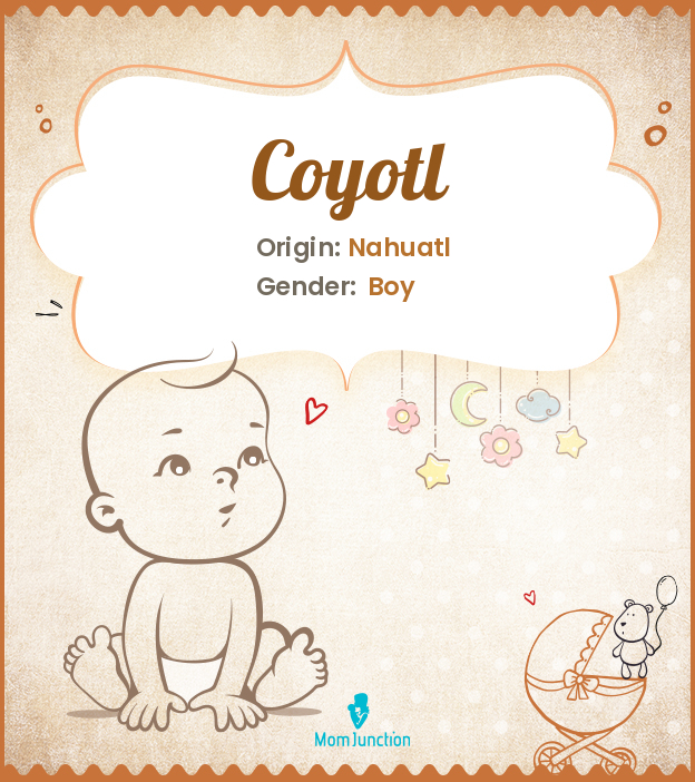 Coyotl