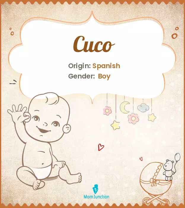 Cuco: Meaning, Origin, Popularity_image