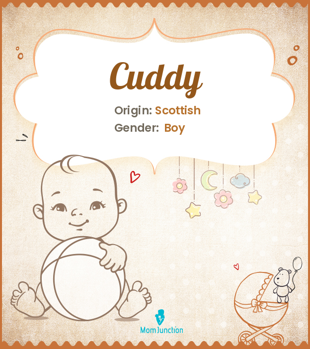 cuddy