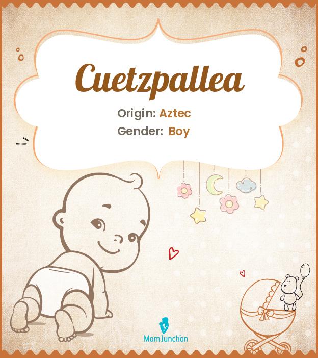 Cuetzpallea