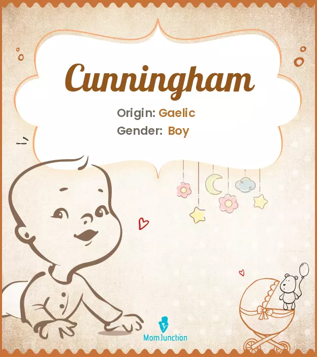 Cunningham: Meaning, Origin, Popularity | MomJunction