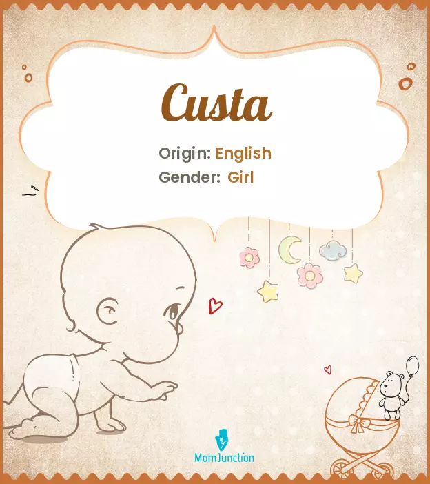 custa_image