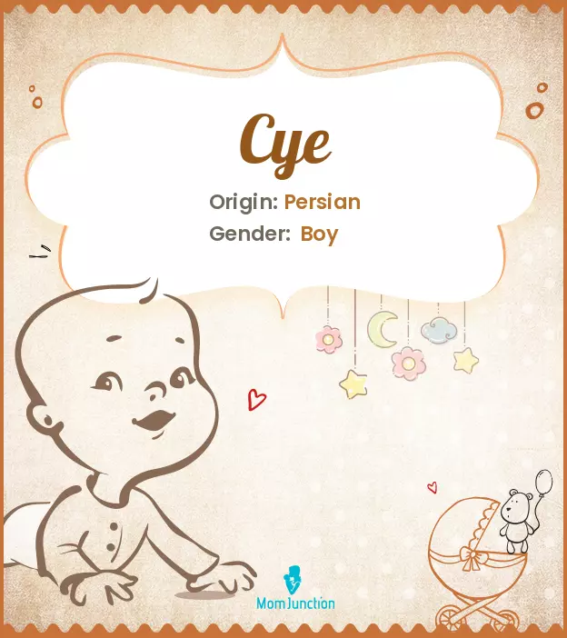 Cye: Meaning, Origin, Popularity | MomJunction