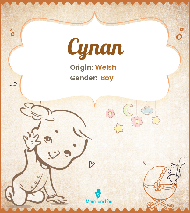 cynan