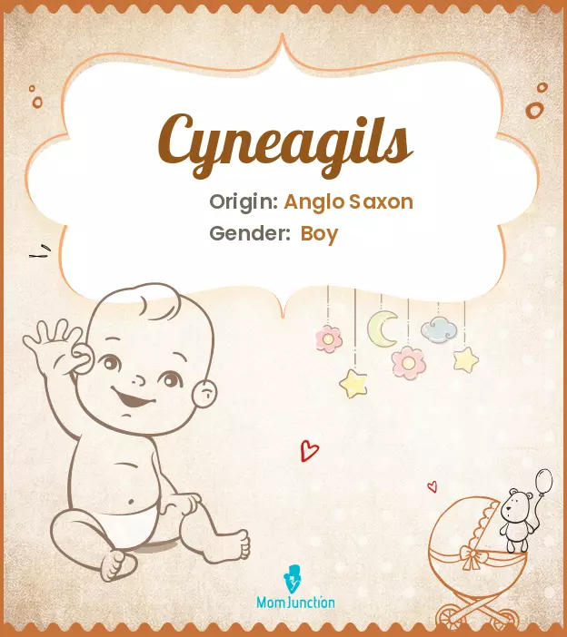 cyneagils_image