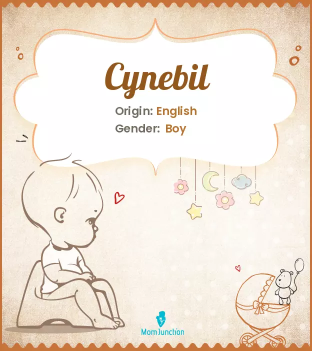 cynebil_image