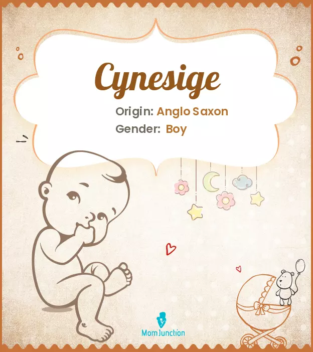 cynesige_image