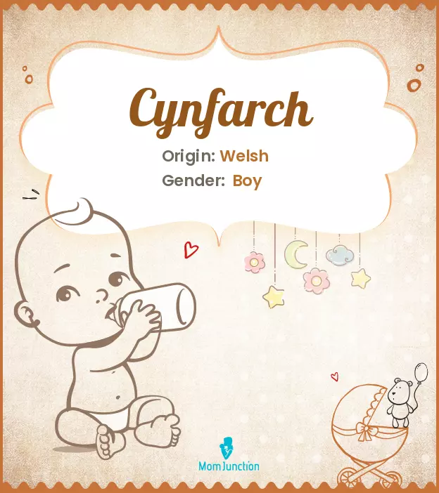 cynfarch_image