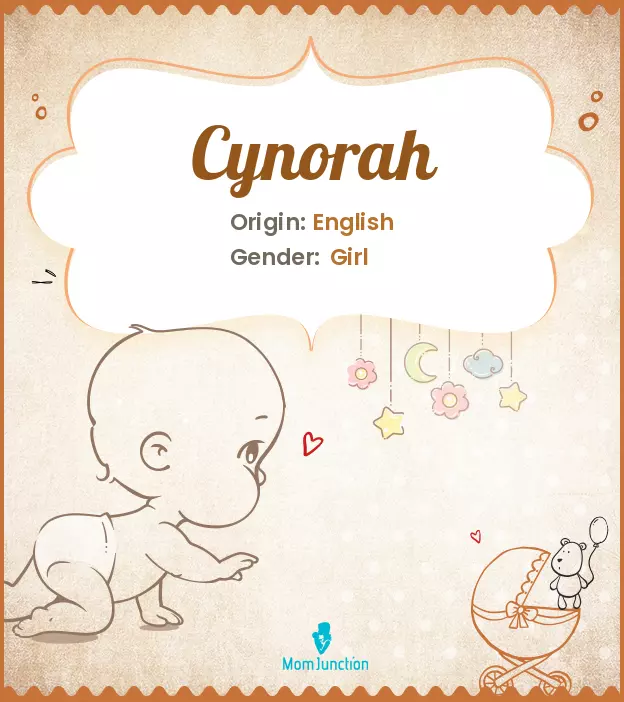 cynorah_image