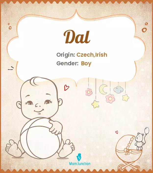 Explore Dal: Meaning, Origin & Popularity_image