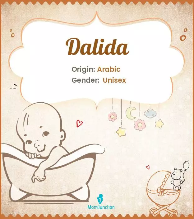Explore Dalida: Meaning, Origin & Popularity | MomJunction