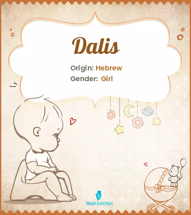 Explore Dalis: Meaning, Origin & Popularity | MomJunction