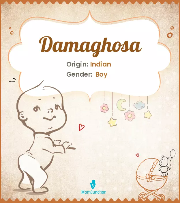 damaghosa_image