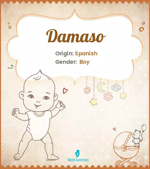 Explore Damaso: Meaning, Origin & Popularity | MomJunction